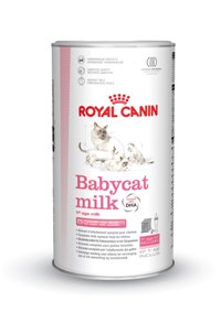 Voedingslijn van Royal Canin voor kittens | Dierenkliniek