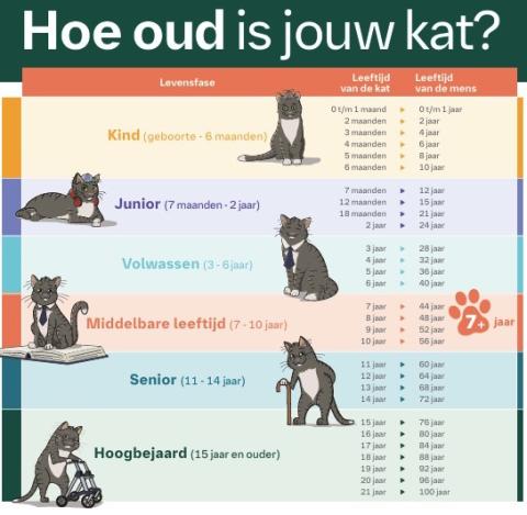 Hoe oud is jouw kat?